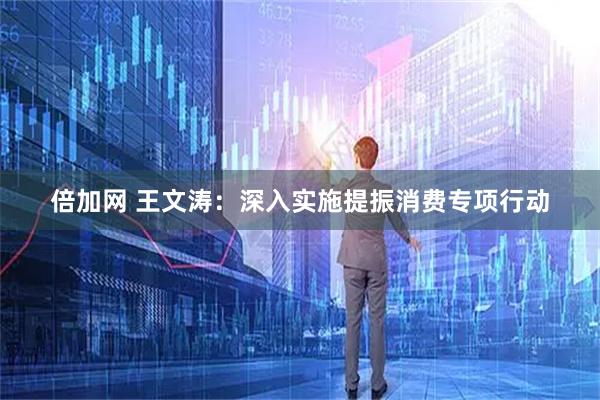 倍加网 王文涛：深入实施提振消费专项行动
