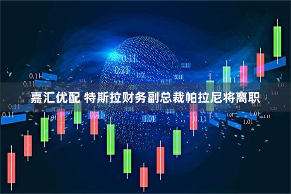 嘉汇优配 特斯拉财务副总裁帕拉尼将离职