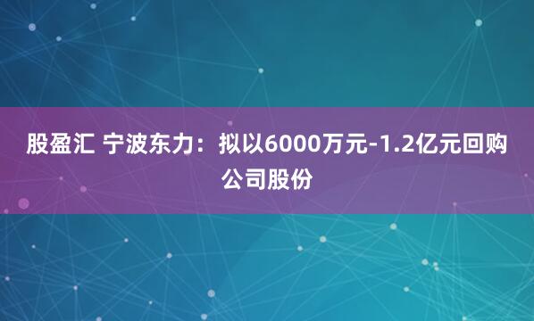 股盈汇 宁波东力:拟以6000万元-1.2亿元回购公司股份