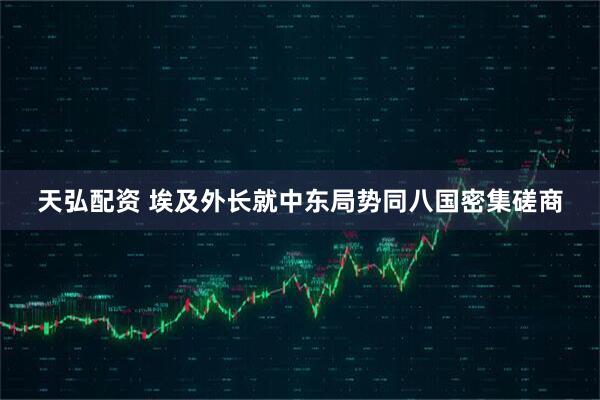天弘配资 埃及外长就中东局势同八国密集磋商