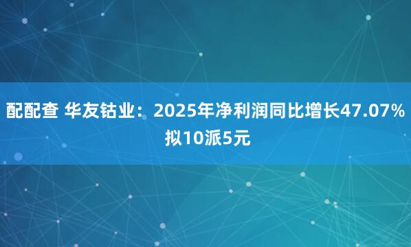 配配查 华友钴业:2025年净利润同比增长47.07% 拟10派5元
