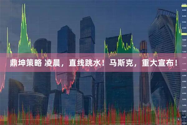 鼎坤策略 凌晨，直线跳水！马斯克，重大宣布！