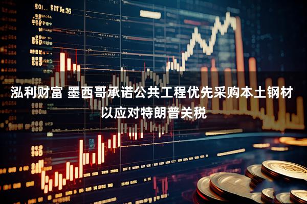 泓利财富 墨西哥承诺公共工程优先采购本土钢材 以应对特朗普关税