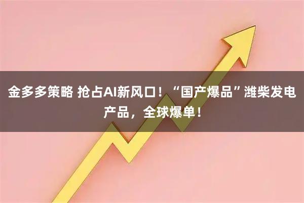 金多多策略 抢占AI新风口！“国产爆品”潍柴发电产品，全球爆单！