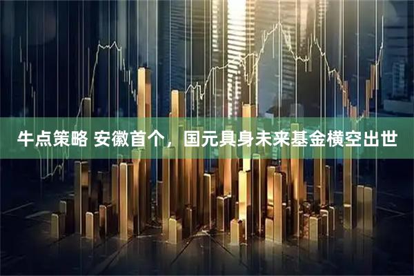 牛点策略 安徽首个，国元具身未来基金横空出世