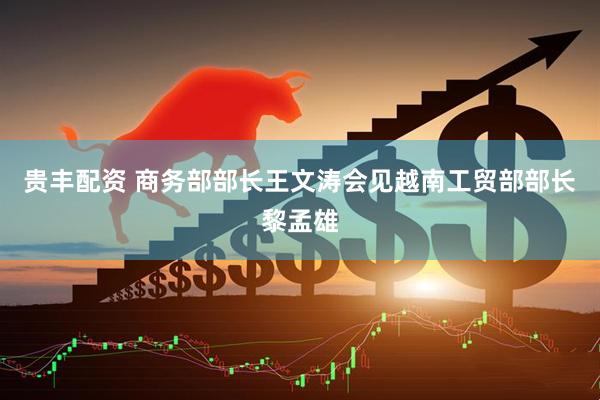 贵丰配资 商务部部长王文涛会见越南工贸部部长黎孟雄