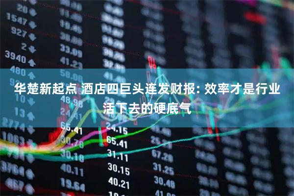 华楚新起点 酒店四巨头连发财报: 效率才是行业活下去的硬底气