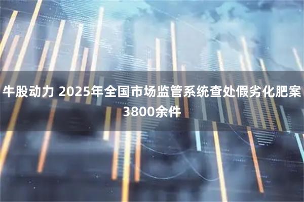 牛股动力 2025年全国市场监管系统查处假劣化肥案3800余件