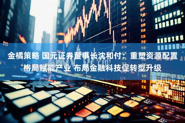 金橘策略 国元证券董事长沈和付：重塑资源配置格局赋能产业 布局金融科技促转型升级