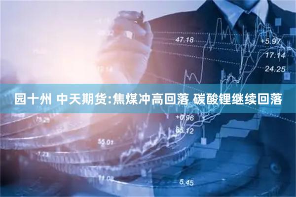 园十州 中天期货:焦煤冲高回落 碳酸锂继续回落